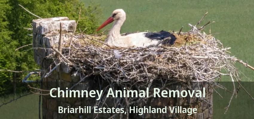 Chimney Animal Removal Briarhill Estates, Highland Village - TX