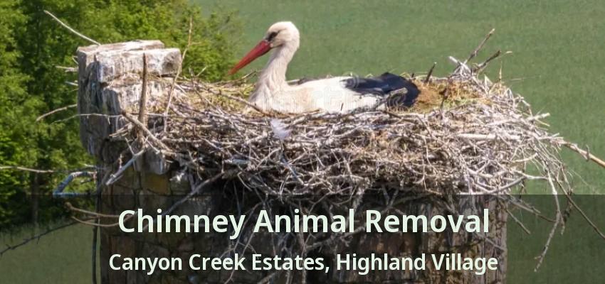 Chimney Animal Removal Canyon Creek Estates, Highland Village - TX
