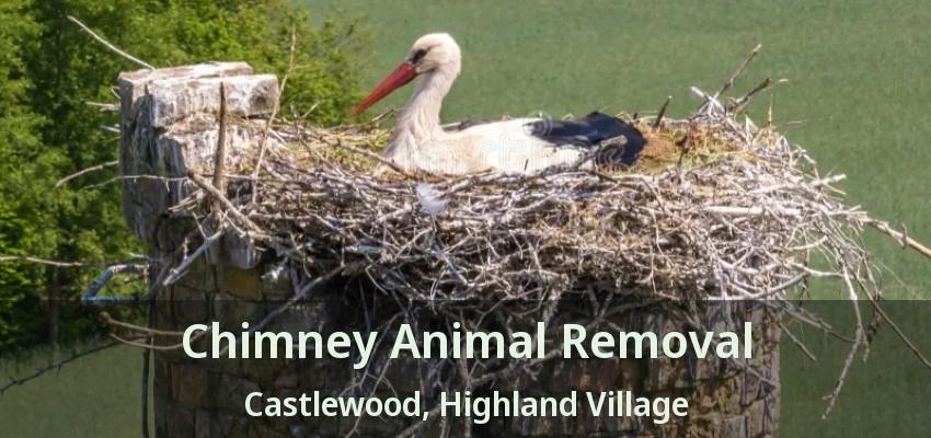 Chimney Animal Removal Castlewood, Highland Village - TX