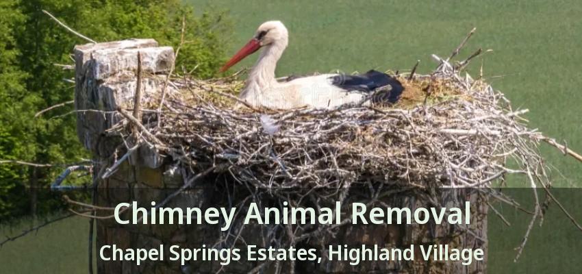 Chimney Animal Removal Chapel Springs Estates, Highland Village - TX