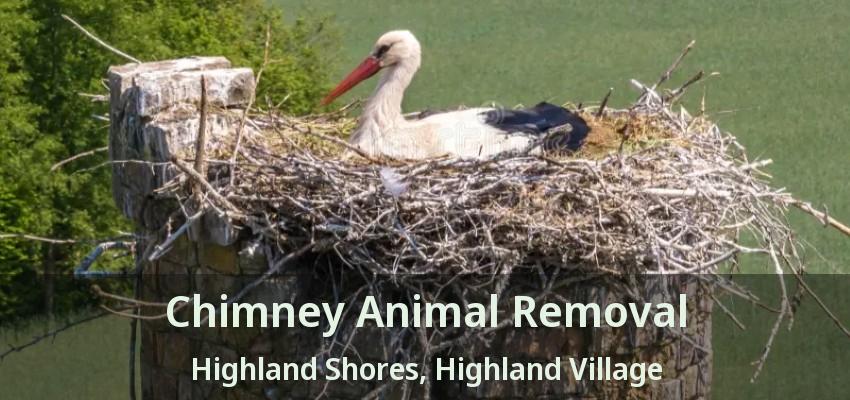 Chimney Animal Removal Highland Shores, Highland Village - TX