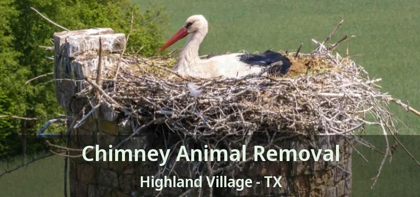 Chimney Animal Removal Highland Village - TX