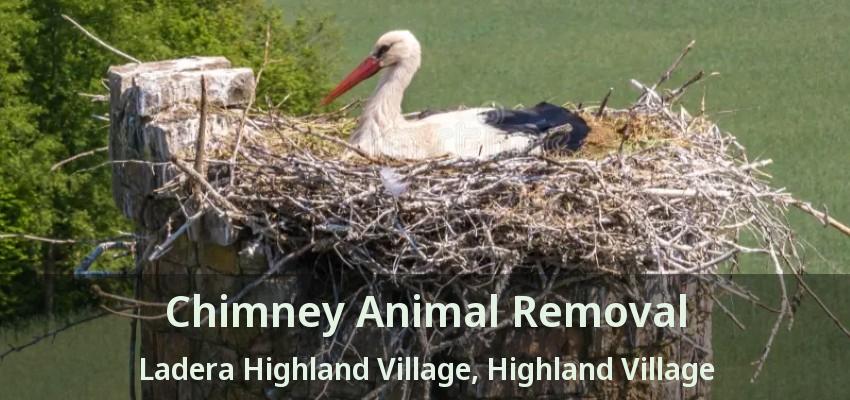 Chimney Animal Removal Ladera Highland Village, Highland Village - TX