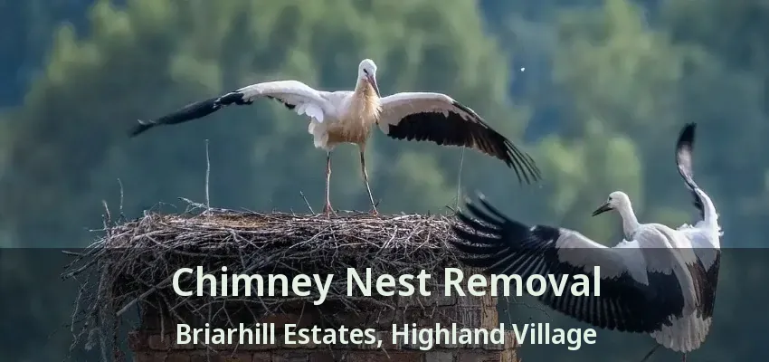 Chimney Nest Removal Briarhill Estates, Highland Village - TX