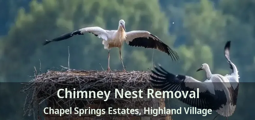Chimney Nest Removal Chapel Springs Estates, Highland Village - TX