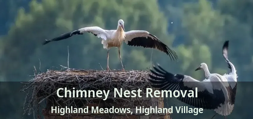 Chimney Nest Removal Highland Meadows, Highland Village - TX