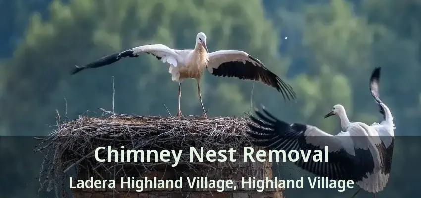 Chimney Nest Removal Ladera Highland Village, Highland Village - TX