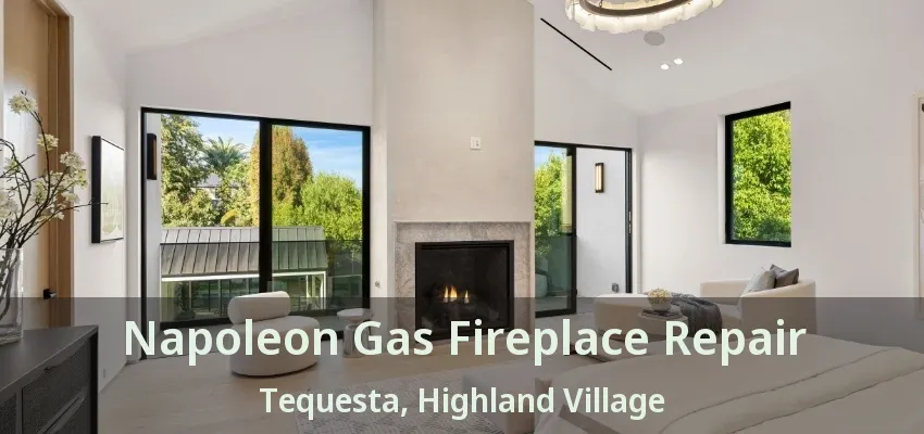Napoleon Gas Fireplace Repair Tequesta, Highland Village - TX