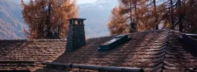 Chimney Animal Removal Castlewood, Highland Village