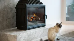 Wood Burning Fireplace Repair Castlewood, Highland Village