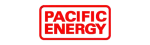 Pacific Energy Regency Fireplace Repair in Highland Village